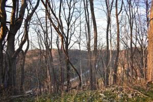 0 Turkey Creek Hwy