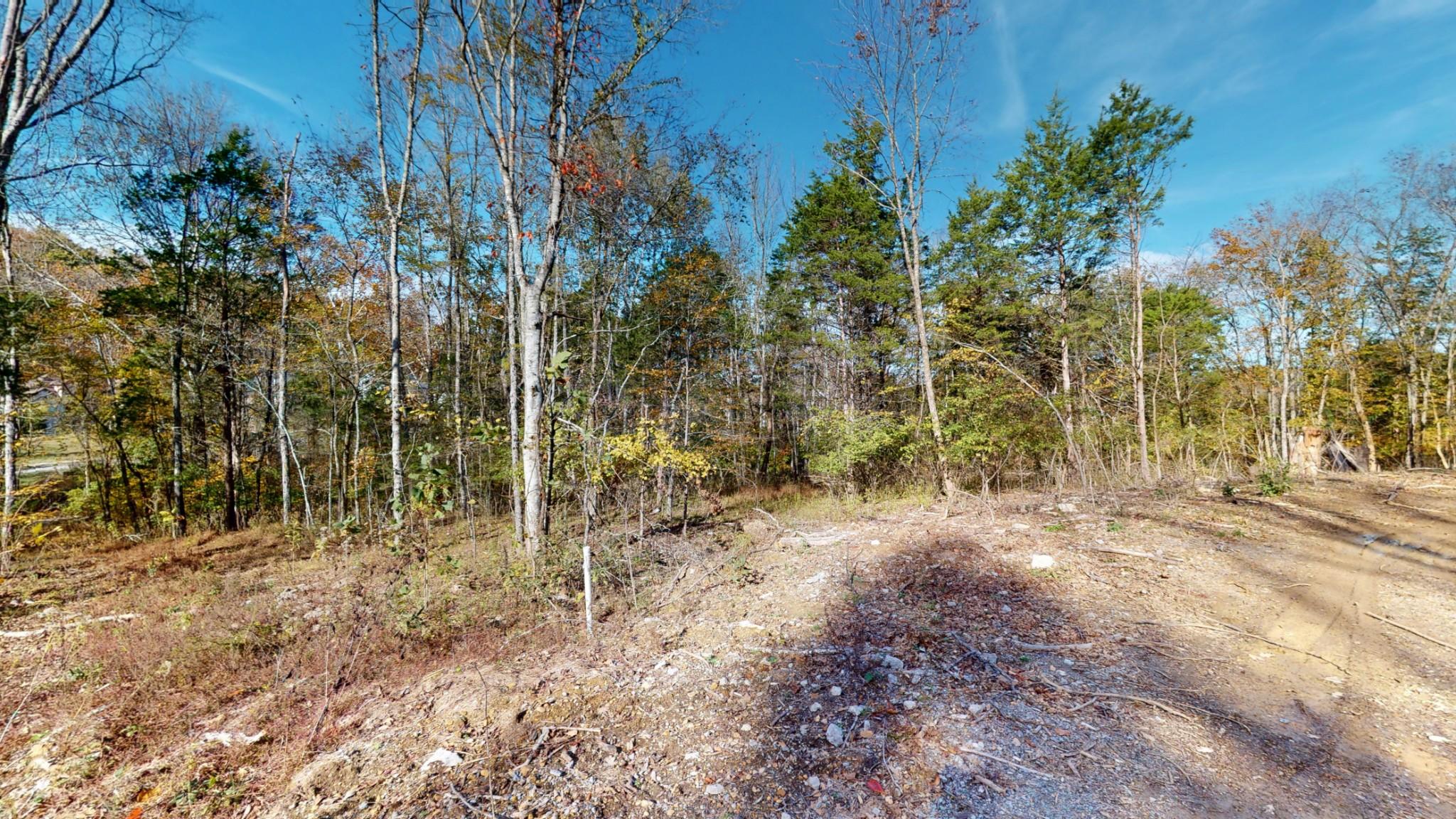 Image 4 Image 4