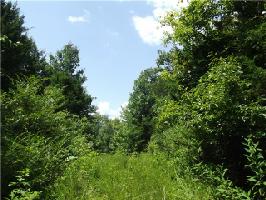 0 Horseshoe Bend Ln