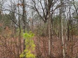 Lot 21 Oak Leaf Cir Lot 21