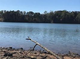 0 Kayak Way Lot 485