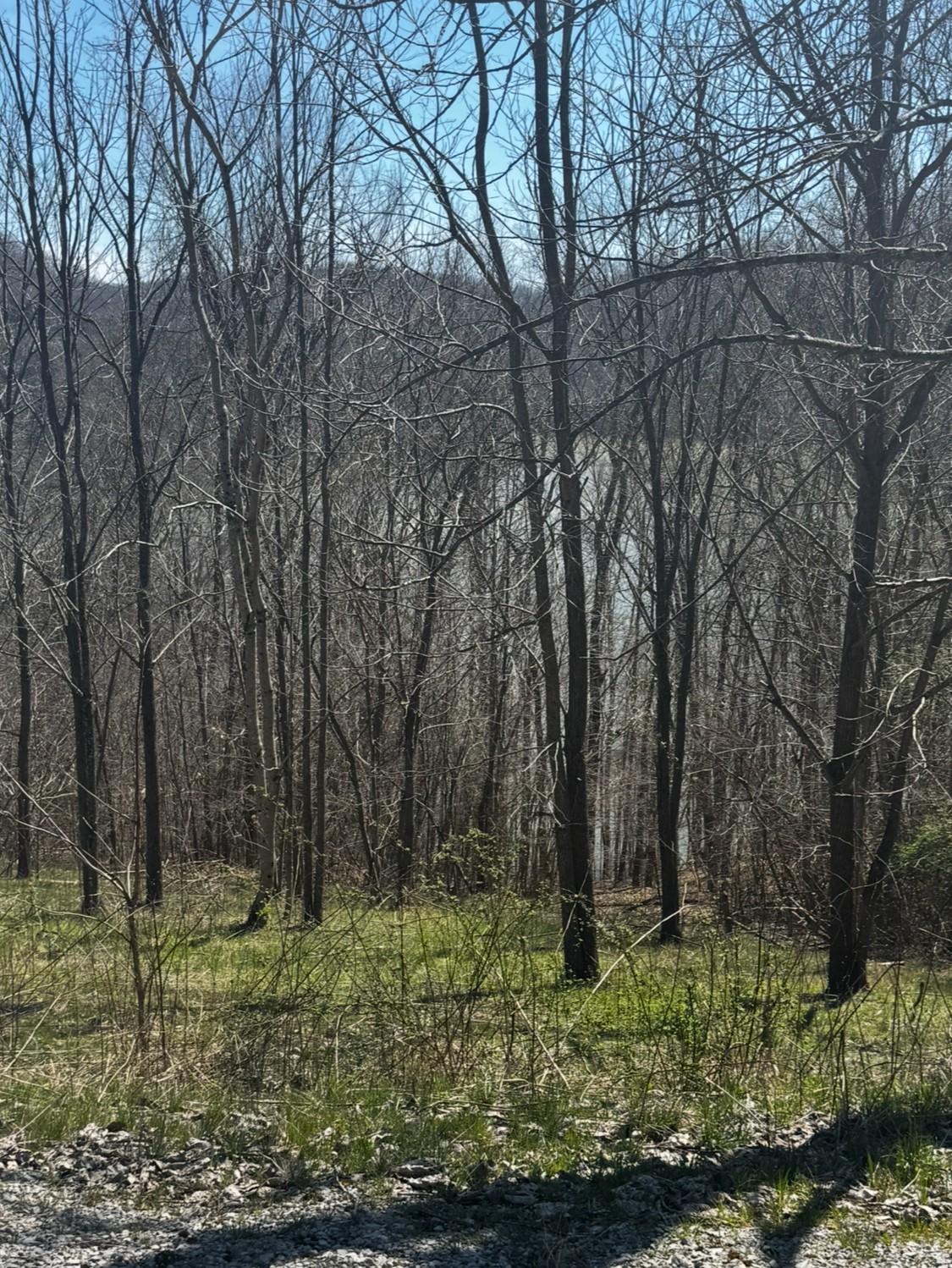 Image 4 Image 4