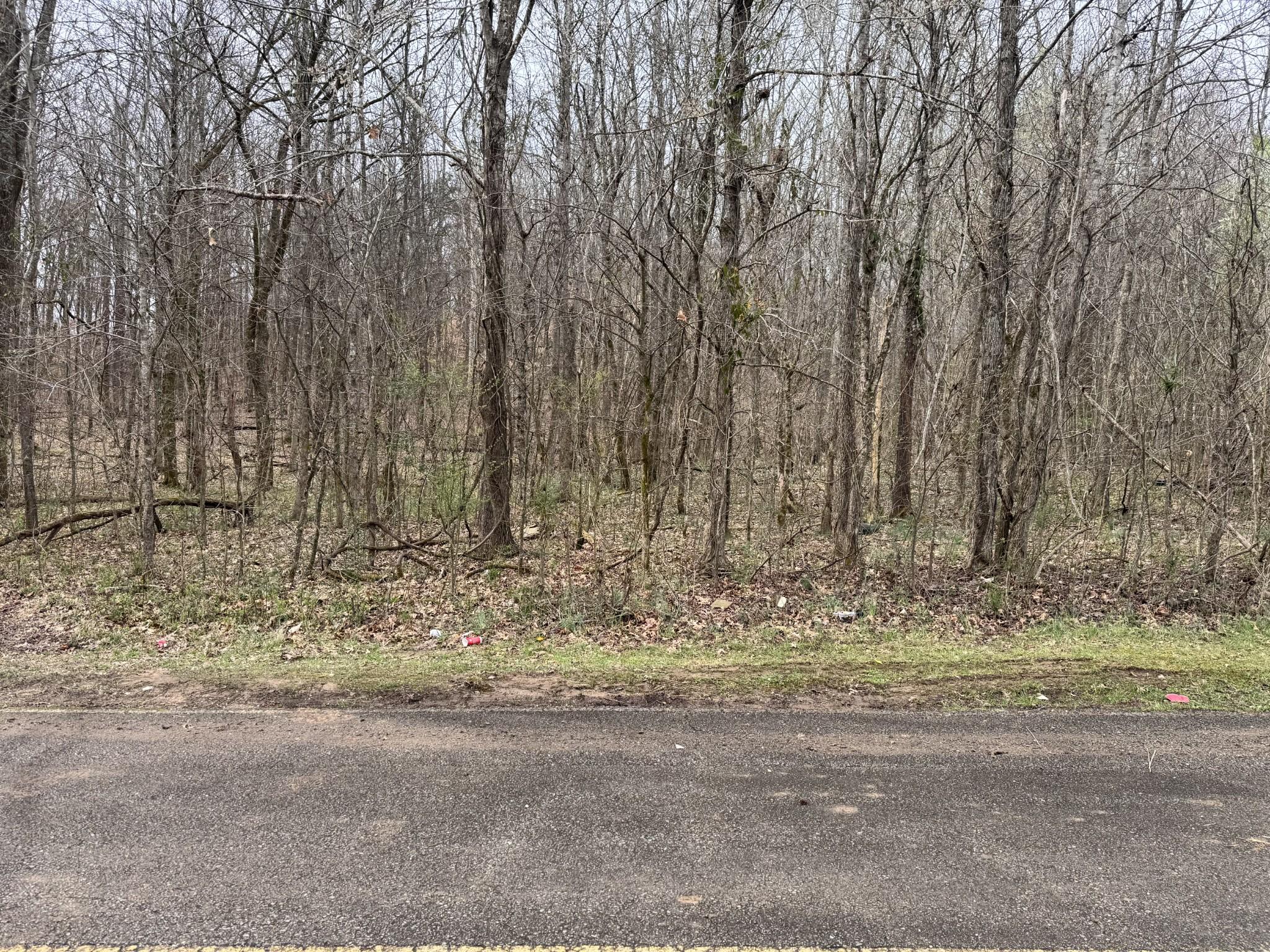 Image 4 Image 4