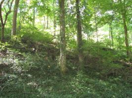 16 Austin Lake Rd