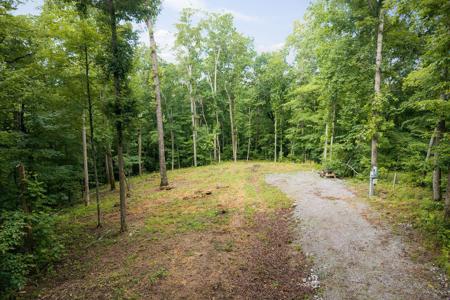 222 Witherspoon Dr