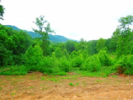 0 Dycus Landing Lane Lot 5