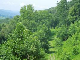 4 .90 ac.Dycus Landing L26