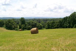 Lot Tract2 Webbs Camp Rd
