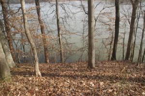 0 Mallard Hill Rd  Lot 95
