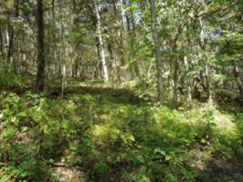 2 .80 AcRoddy Hollow Rd