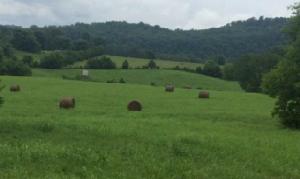 16 .68 Ac. Henson Lane