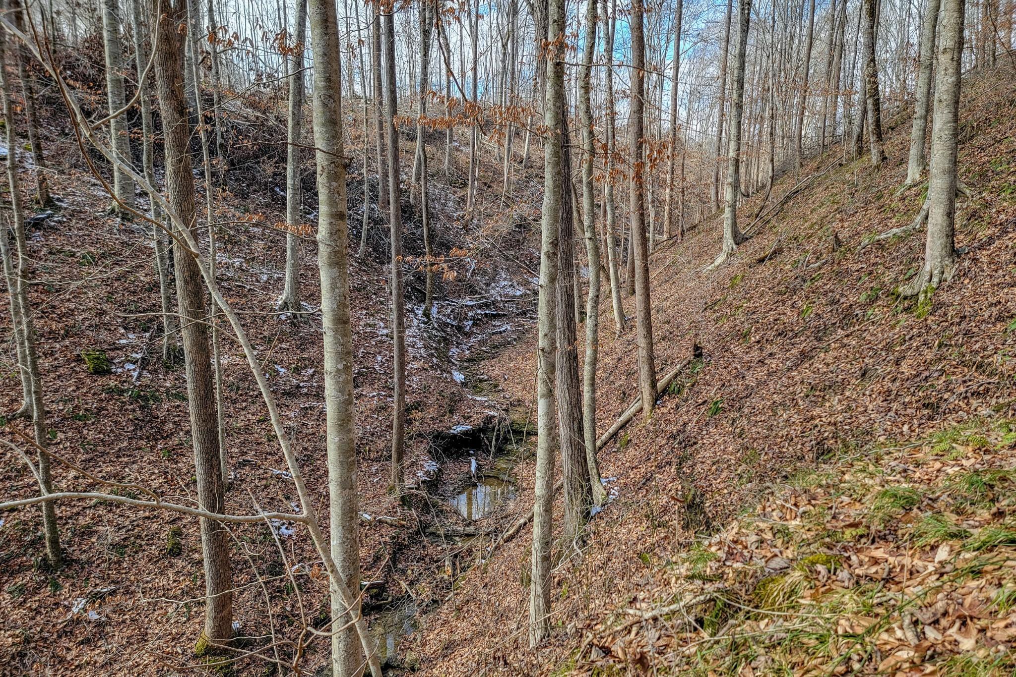 Image 3 Image 3