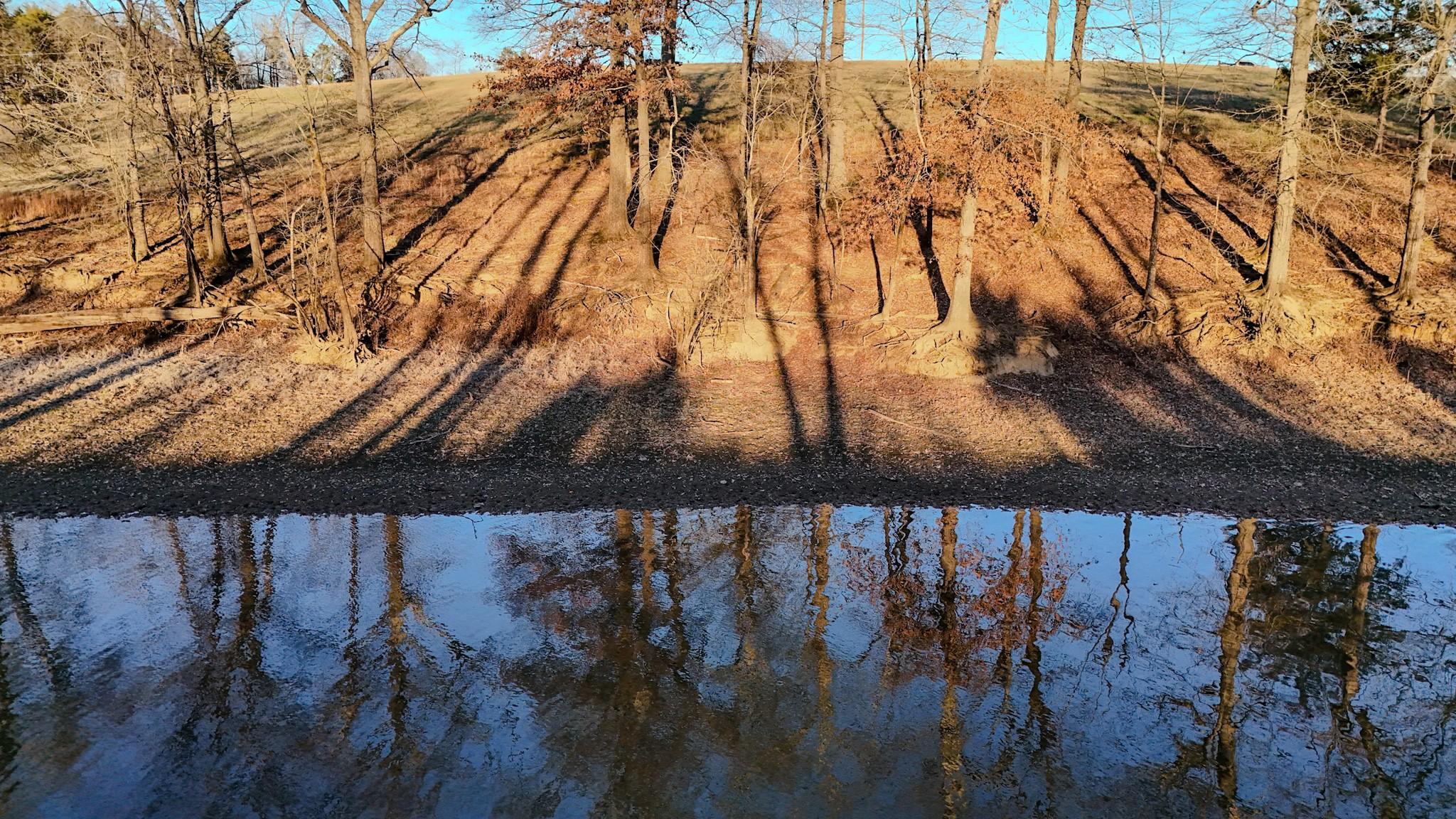 Image 4 Image 4