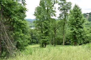 0 Cumberland Valley Dr