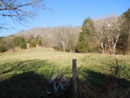 48 .99 Ac. Webster Branch Ln