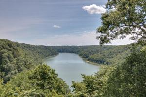 238 Fish Hook Dr