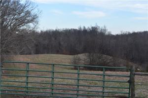 85 Cunningham Lane