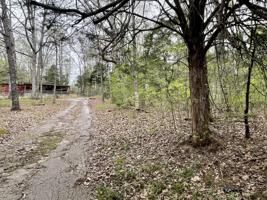 444 Cypress Creek Rd
