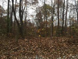 0 Woodcrest Drive`