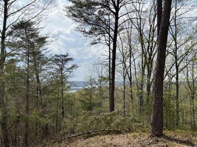0 Old Skyline Drive