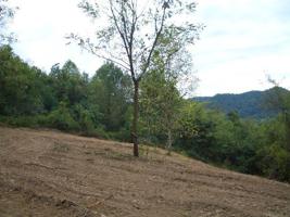 3 .48ac Acorn Ln