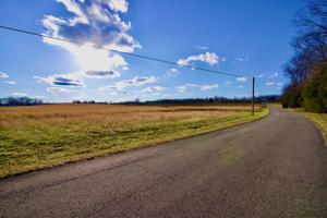 1 Wildcat Road