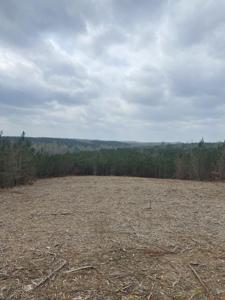 0 Old Hohenwald Rd