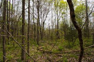 152 Johnson Ridge Rd
