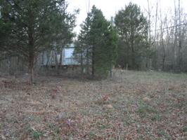 661 DUNK BLANTON RD