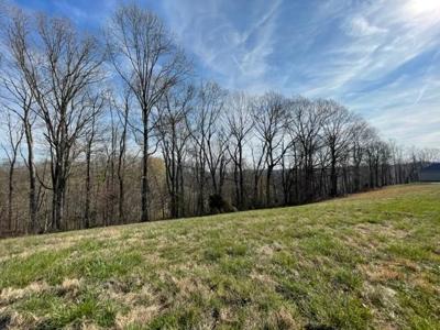 0 Meadowview Ln