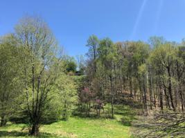 0 Dodson Duke Rd