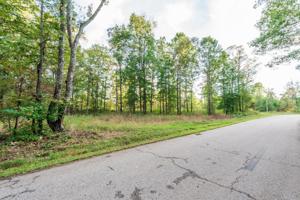 1124 Lick Creek Boat Dock Loop