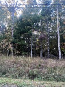 1019 Natchez Trace