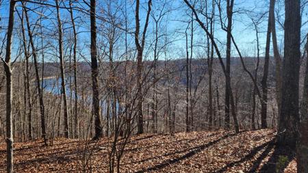 0 Mountain Harbor Trace