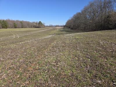 0 Old Estill Springs Rd