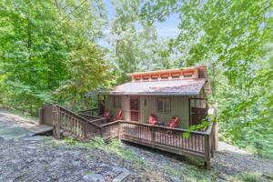 629 Alpine Dr