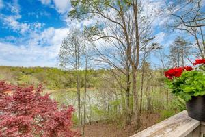 299 Caney View Cir