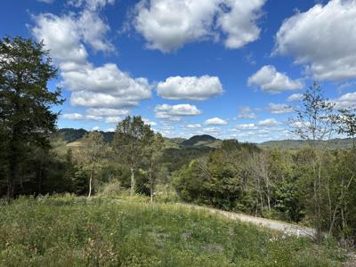 0 Hopkins Hollow RD