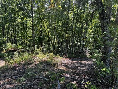 0 Pinewood Rd lot#15