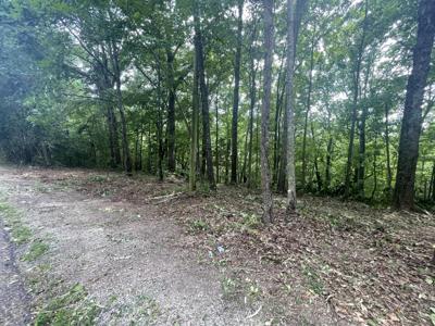 0 Baron Bluff Rd