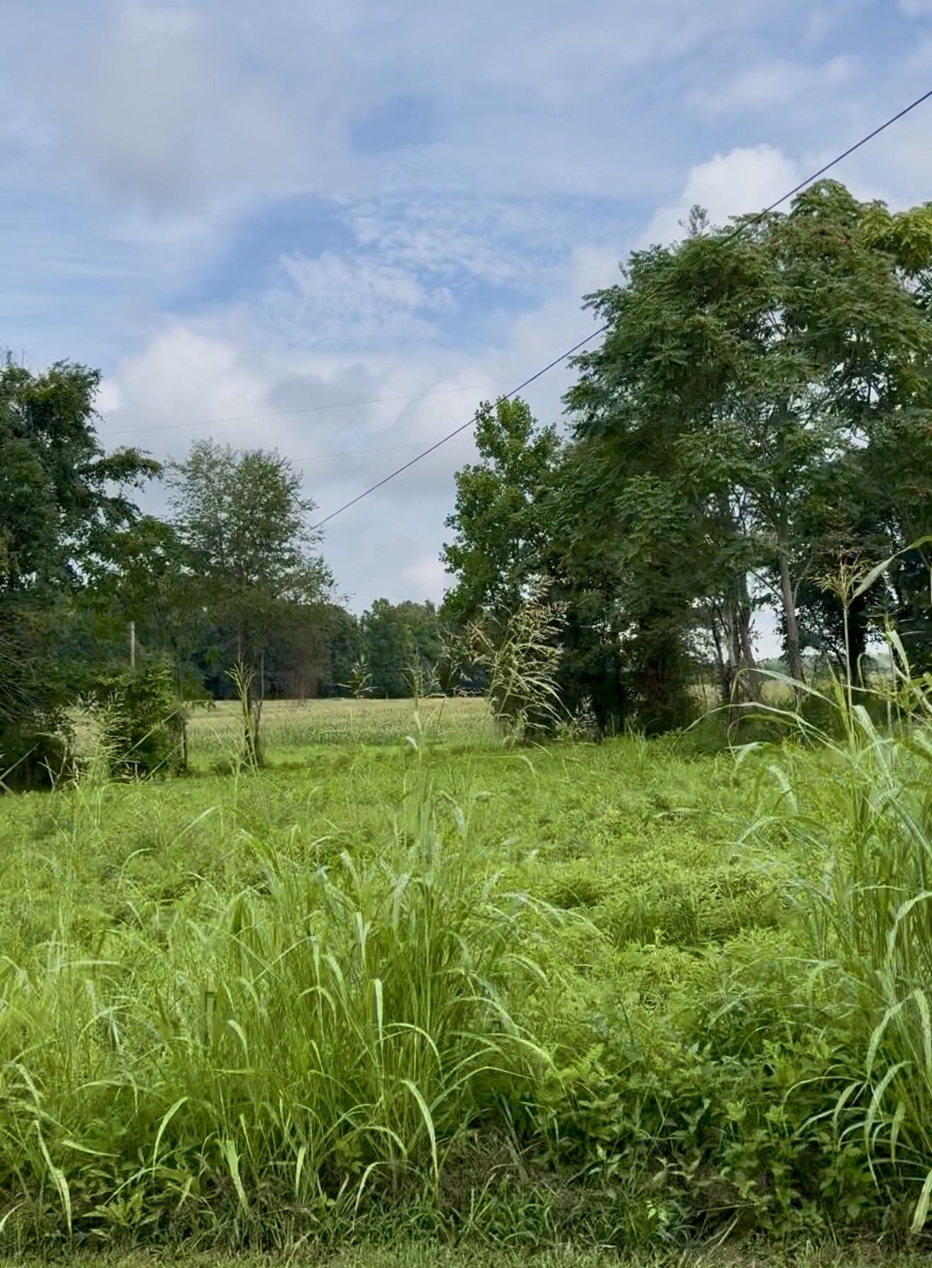 Image 1 Image 1