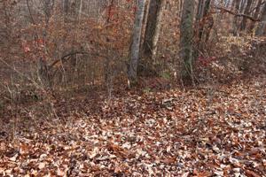 56B Holiday Haven Rd