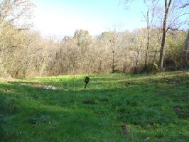 0 Rutherford Ln Lot 146