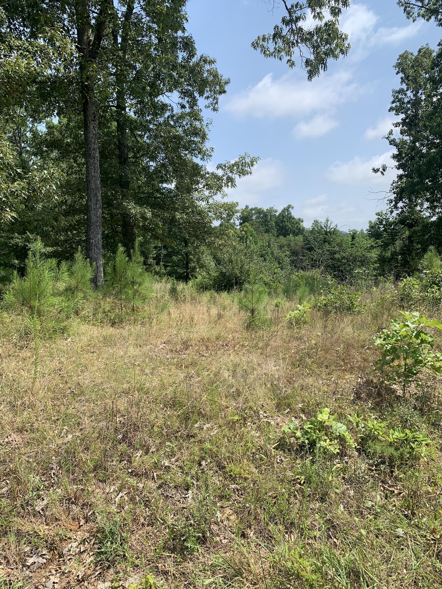 0 NEW HOPE RD, Big Sandy, TN lhrmls01015612