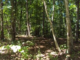 1 Poplar Point Rd