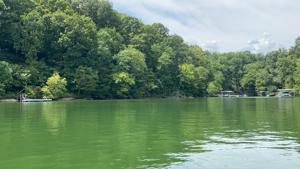Lot 112 Huffman Park Rd