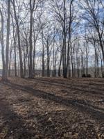 Lot 4 Flora Ln