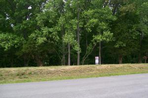 131 Collins River Drive