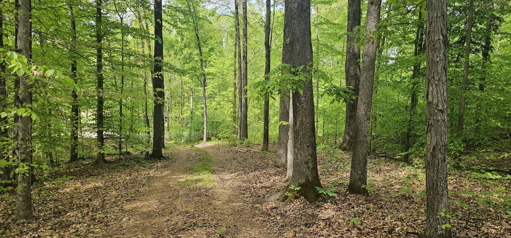 Image 3 Image 3