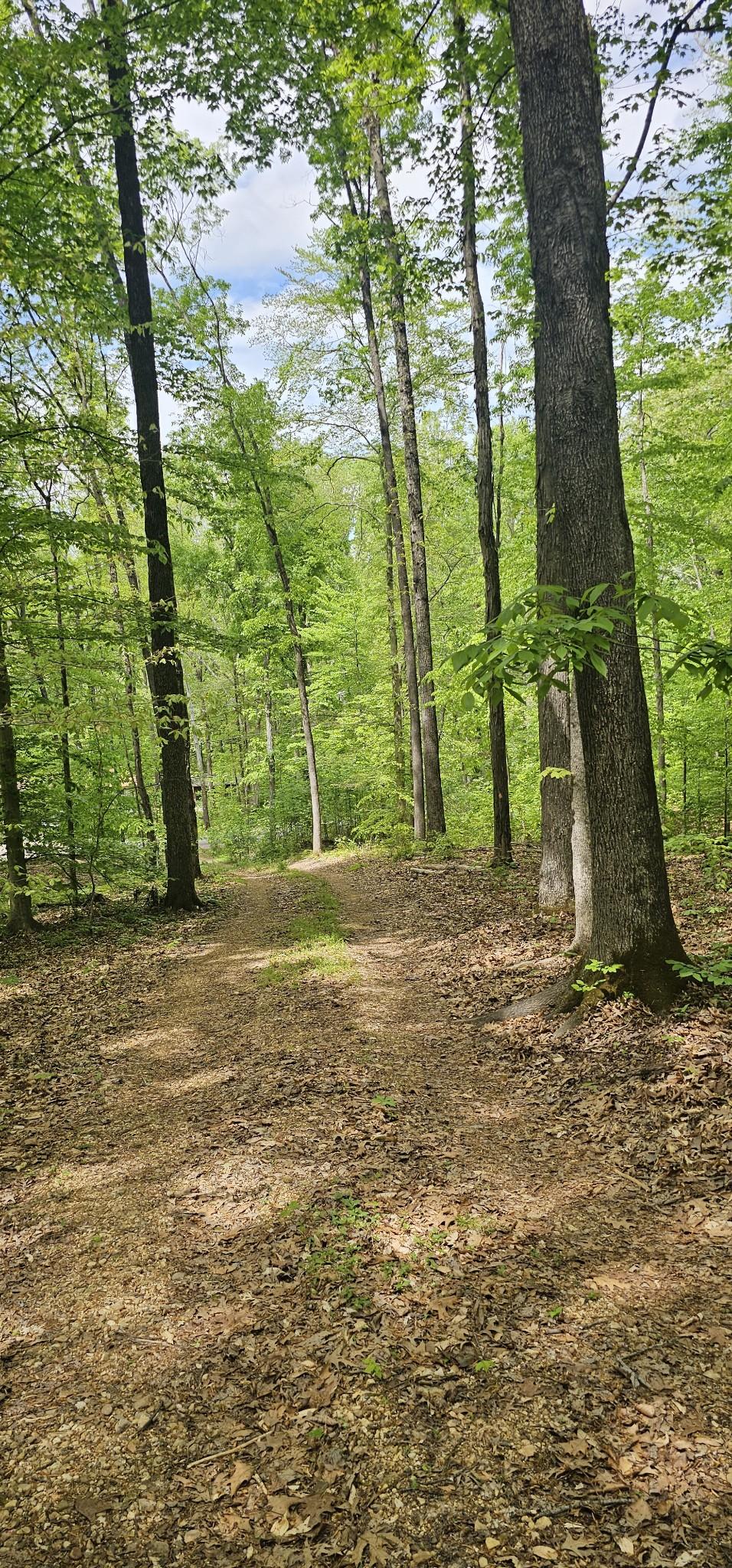 Image 4 Image 4